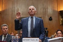 Senate Holds Fauci in Contempt; Obtains His Phone