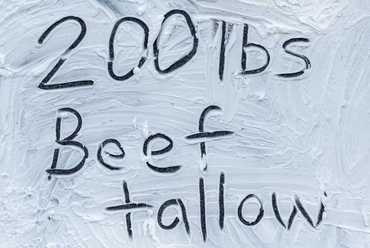 Beef Tallow Sunscreen: More TikTok Nonsense