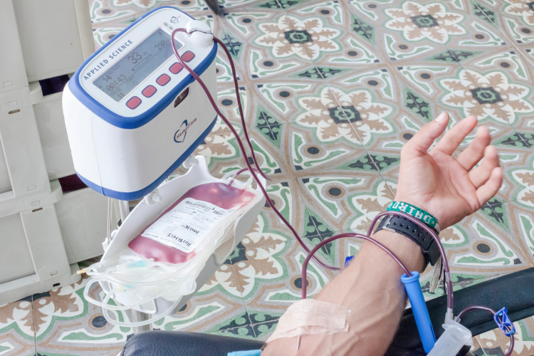 Cholesterol Treatment May Remove Microplastics From Blood