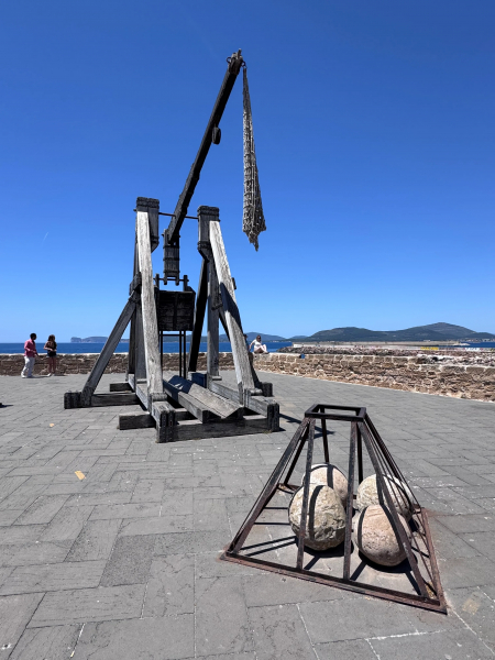 Medieval Man May Have Been Hit by Trebuchet Projectile