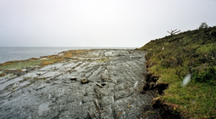 440-Year-Old Coin Marks Lost Site of a Doomed Colony