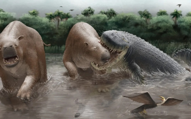 Giant Crocodylians Dominated Miocene South America