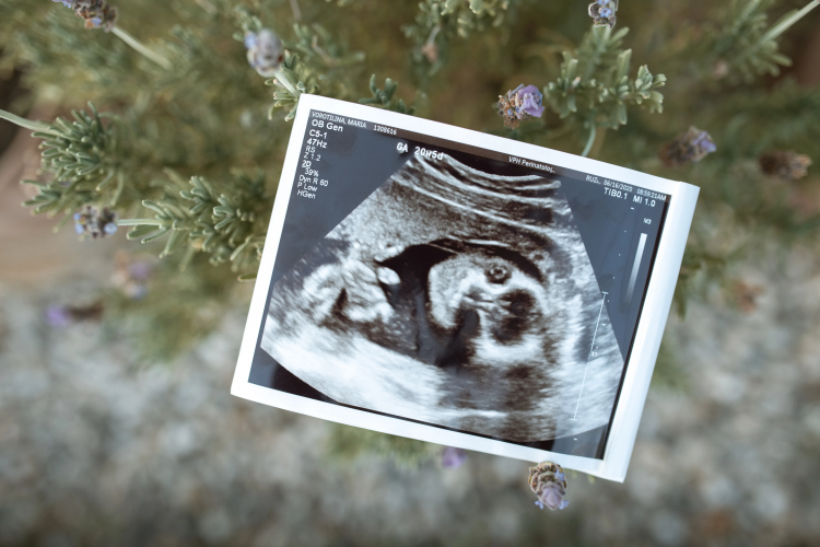 Artificial Birth Will Change What It Means to Be Human