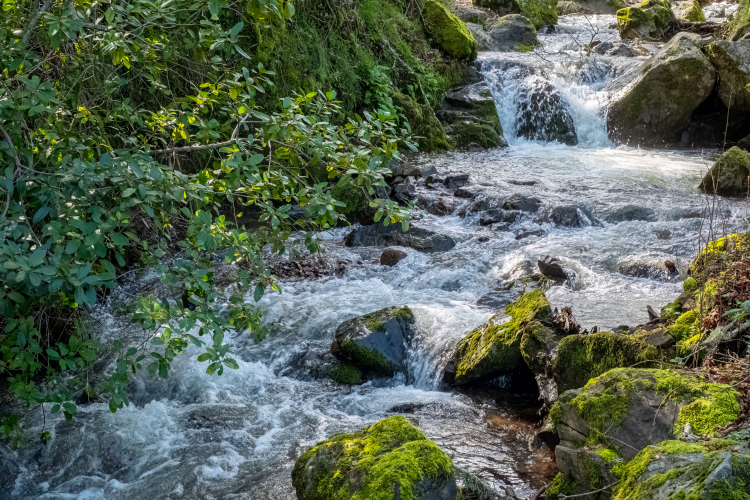Structured Water: Distilling the Science From the BS