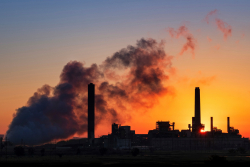Climate Change Is Making Us Stupid