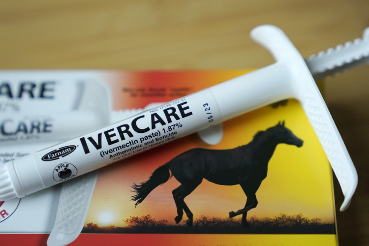 Ivermectin Is an Excellent Drug, But Not for Cancer