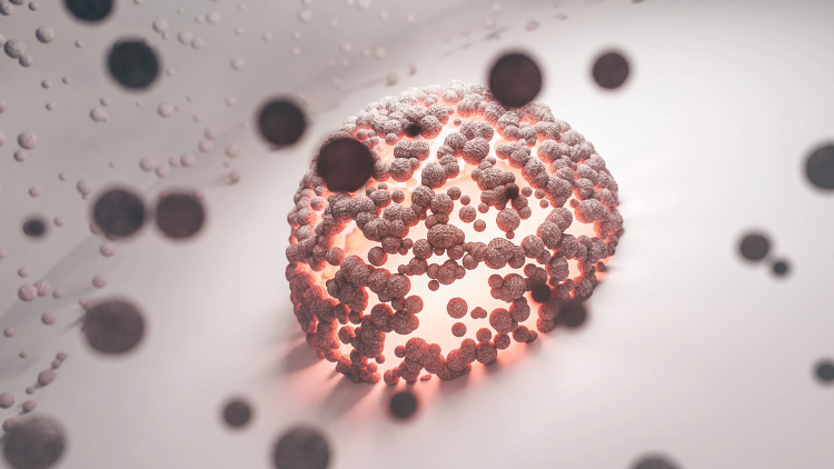 'Supportive' Brain Cells May Drive Cognitive Decline