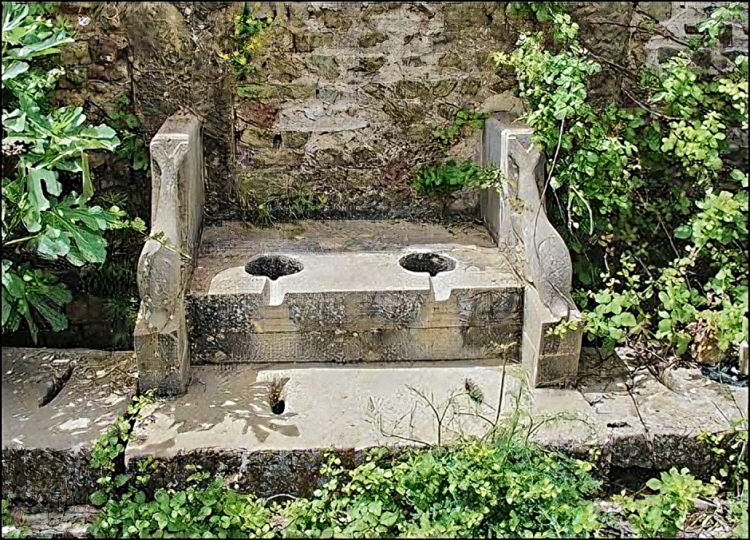 For Ancient Romans, Pooping Was a Communal Activity