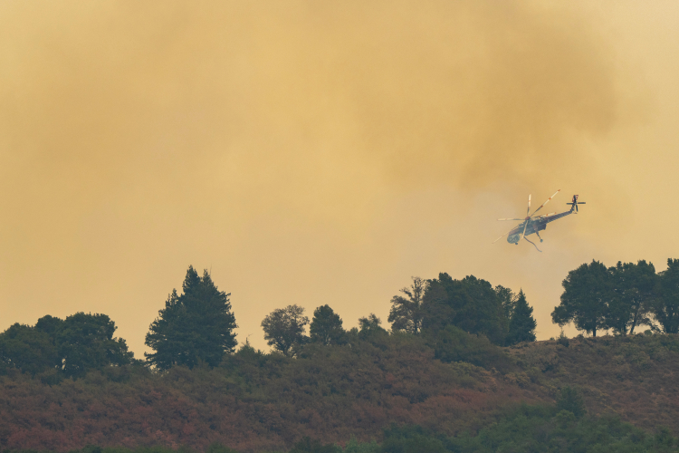 The Real Cause of Most Wildfires