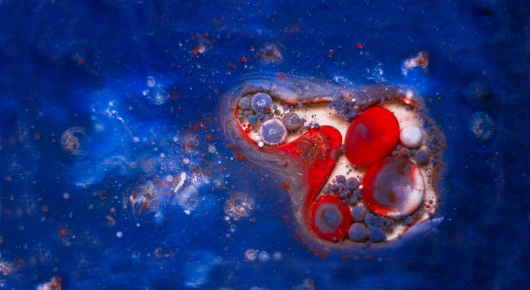 Why Doesn't a Normal Embryo Always Become a Baby?