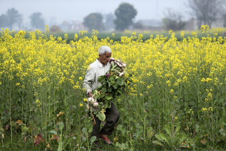 Mycetoma: The Invisible Disease Beneath India's Soil
