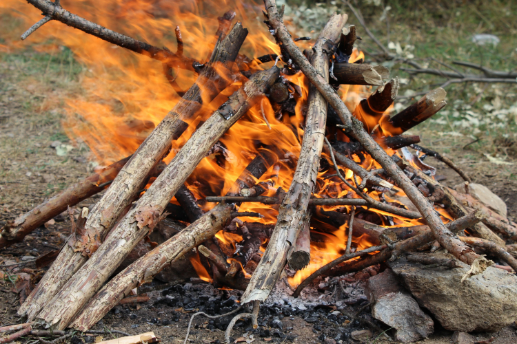 Human Language May Have Evolved Around the Fireplace