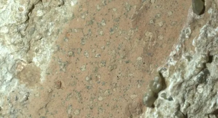 'Leopard Spots' on Mars Hint at Past Life
