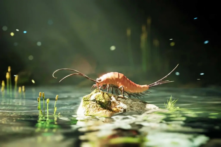 The World's First Bugs Had Way More Legs