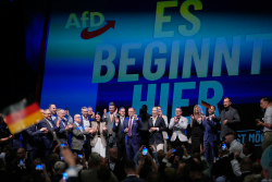 Why the AfD Wins