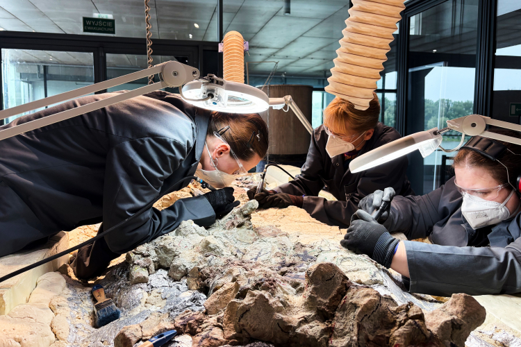 The Messy Business of Making Science Happen