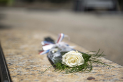 Reflections on the 25th Anniversary of the 9–11 Attacks