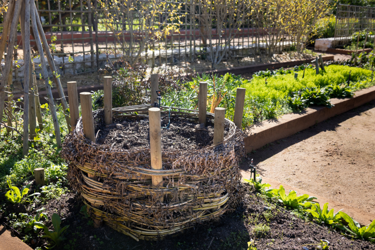 Researchers Find Plastic-Degrading Enzymes in Compost Heap
