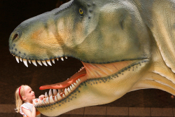 Scientists Estimate the Body Temperature of T. rex