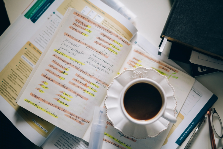 Learning Language Keeps Brain Healthy as You Age