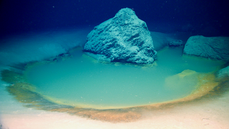 Briny 'Death Pools' Hold Clues to Early Life