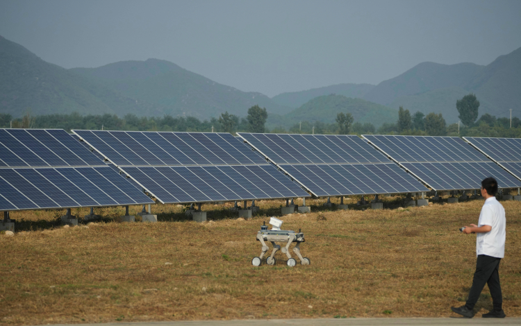 Is Solar's Growth Finally Slowing in the U.S.?