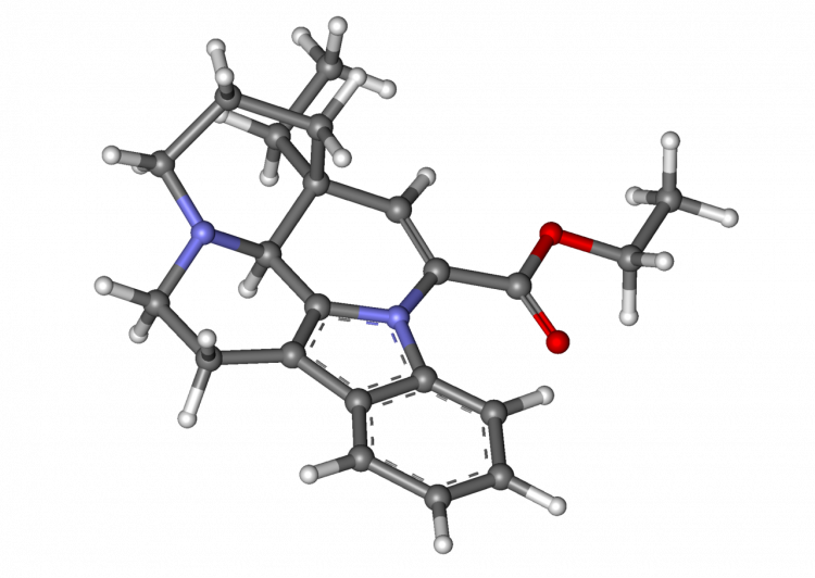 Skeletal-Editing 'Dream' Realized