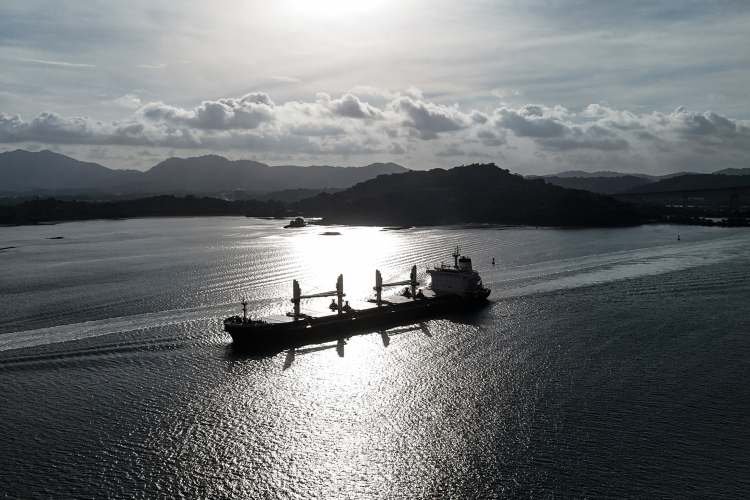 The Coming Impacts of the Record-Shattering El Niño