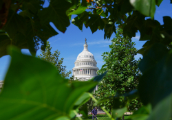 How Bad Are Midterm Polls for Republicans?