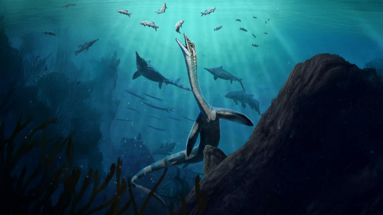 245-Million-Year-Old Fossil Still Has Stomach and Intestines