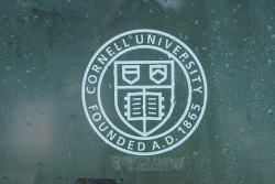 How a Cornell Student Went From Shame to Action