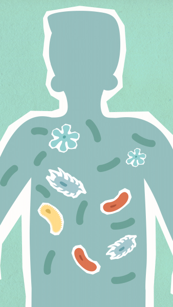 Immune Aging Accelerates Around 40 and 60