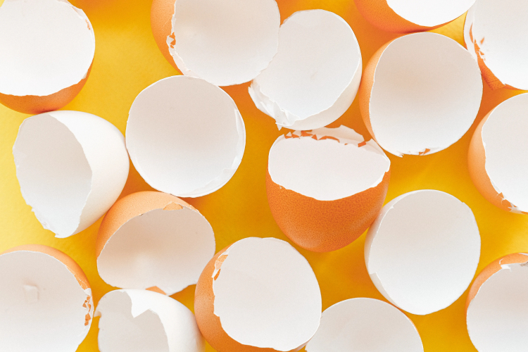 Researchers Use Eggshells to Make Stronger, Lighter Metal Alloys