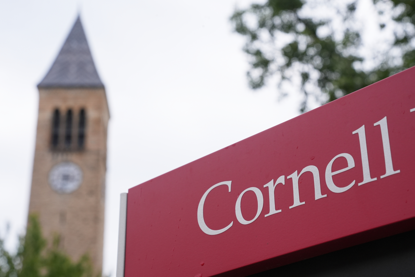 Porn Helps Explain the Cornell Sexual Assault Case