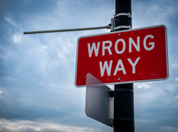 Correctly Understanding the 'Stupidity' of the Left