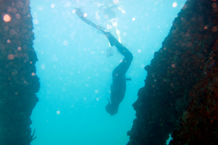 Freediving Reorganizes the Brain on a Large Scale