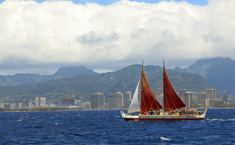 Wayfinding Is Written in the Genomes of Island Populations
