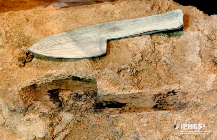 Neanderthal Wooden Tools Found Preserved in Stone