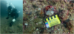 Australia's Oldest Underwater Archaeology Reveals Ancient Life