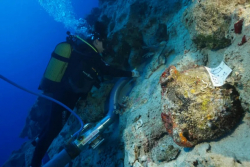 World's Oldest Shipwreck Found Off Coast of Turkey