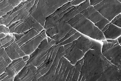 Mechanism Allows Metals to Handle Extreme Cold