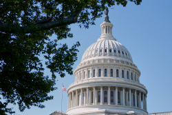 The Deep Midterms
