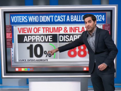 Enten: Democrats Lead By 21 Points Among 2024 Nonvoters In Senate Races, 25 Points In House Races