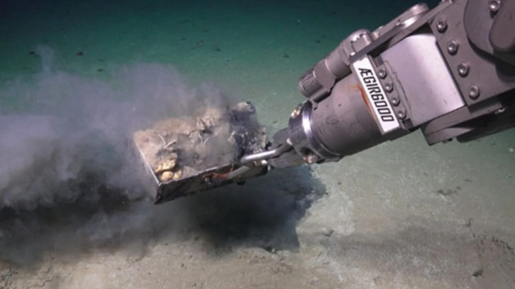 Scientists Dig Up Watery Grave on Arctic Seafloor