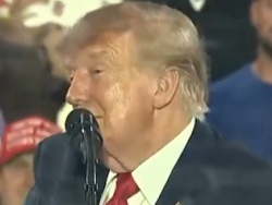 Trump: Ilhan Omar Has "Openly Admitted To Fraud" And Is Not Legally Permitted To Serve In Congress