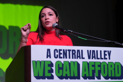 What Does the Left Really Want?