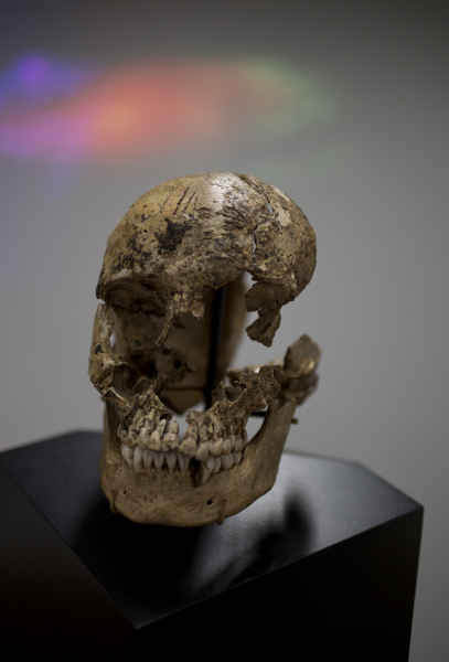 Three Stone Age Caves Reveal Continual Cannibalism